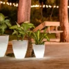 havana illuminated planters