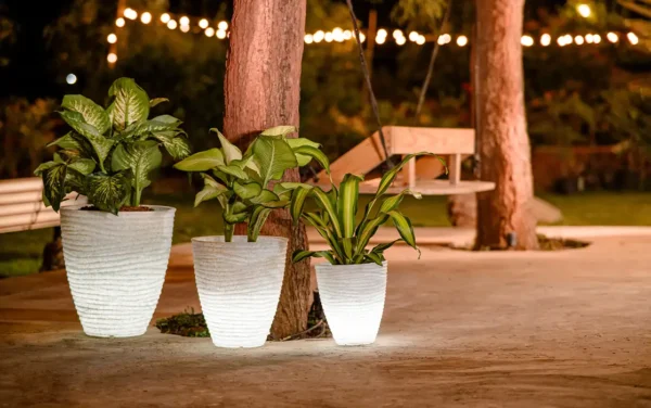 havana illuminated planters