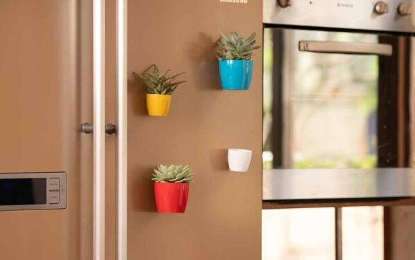 valencia magnet planters