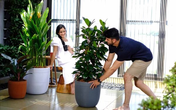 milano short illuminated round planters