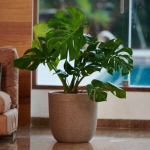 milano short planter