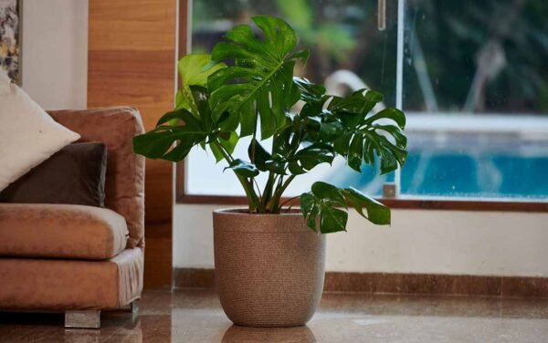 milano short planter milano short planter