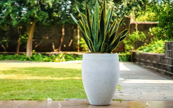 milano high planters