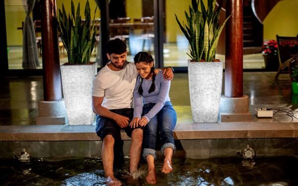 paris illuminated planters