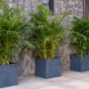 quebec square planters