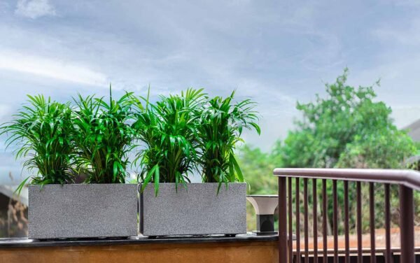 quebec rectangle planters