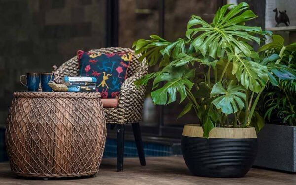 ringstone ring planters