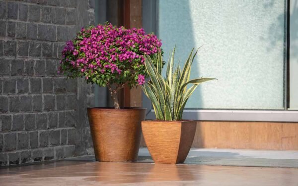 ringstone round planters ringstone round planters