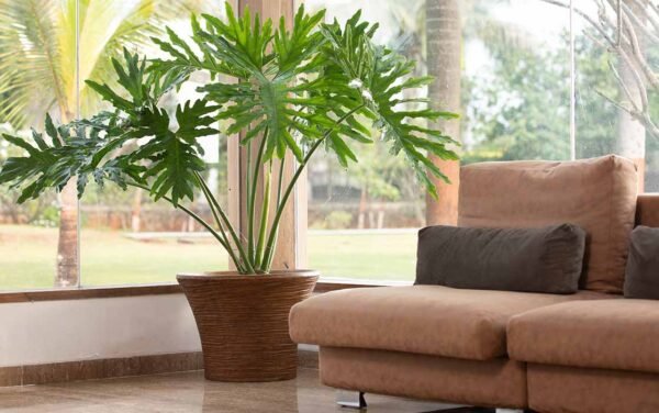 ringstone xl planters ringstone xl planters