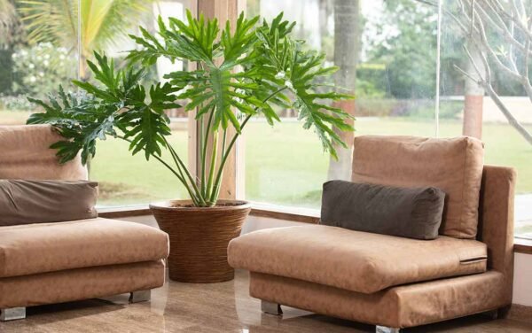 ringstone xl planters ringstone xl planters