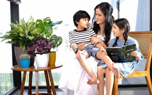 valencia planters valencia planters