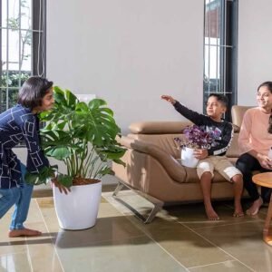 valencia with wheels planters