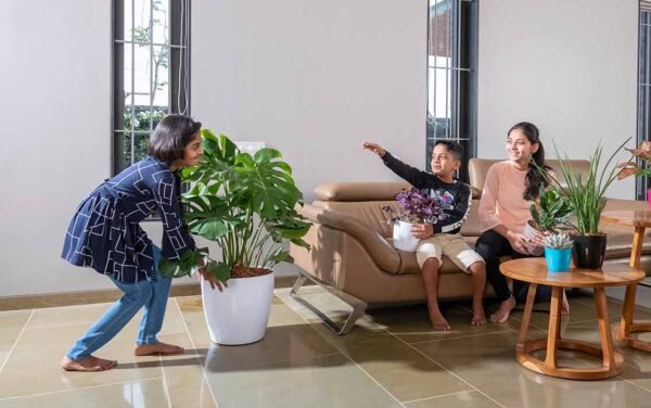 valencia with wheels planters valencia with wheels planters