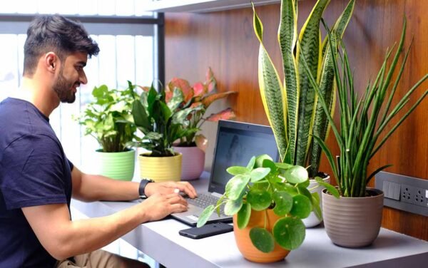 verona planters verona planters