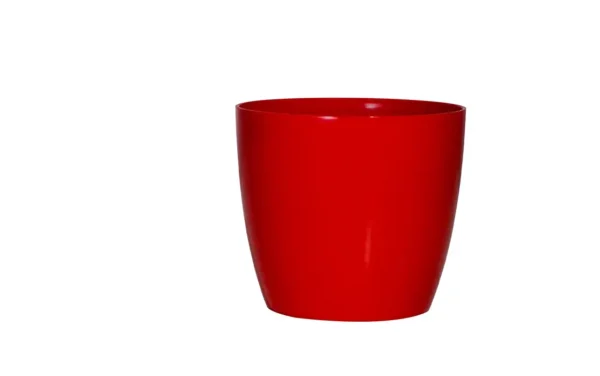 valencia planters valencia planters