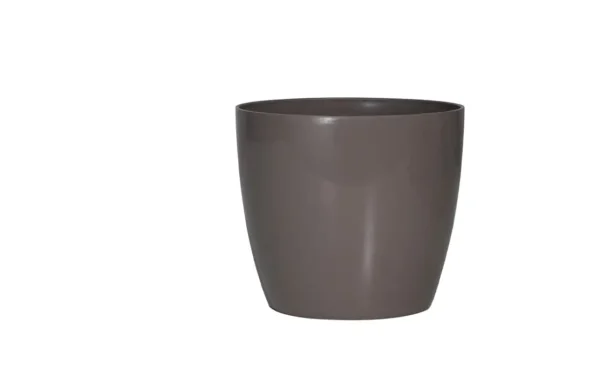 valencia planters valencia planters