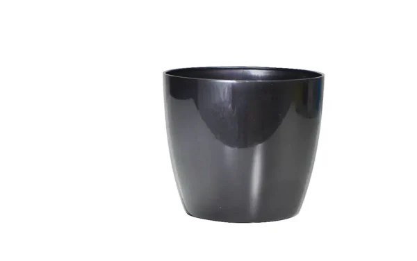 valencia planters valencia planters