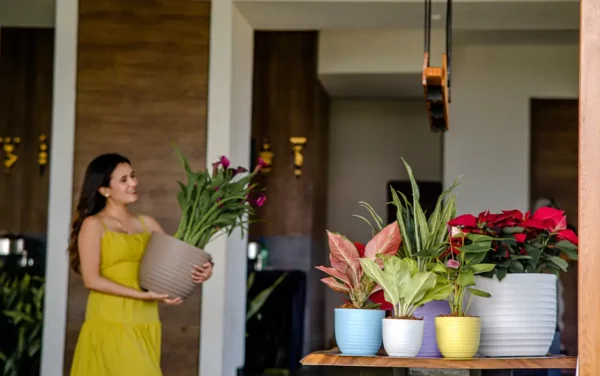 verona planters verona planters