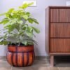 wooden barrel planters