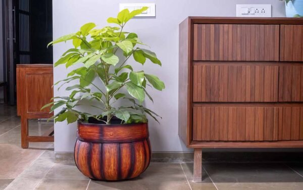 wooden barrel planters