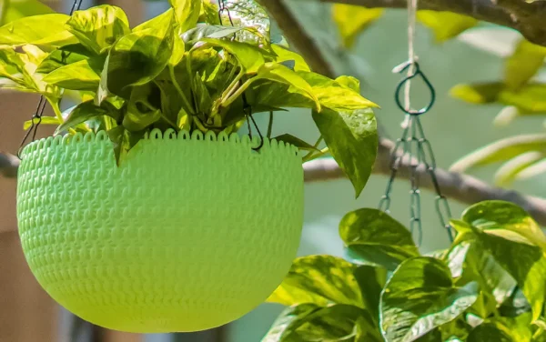 capri hanging planters capri hanging planters