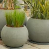 globus planters