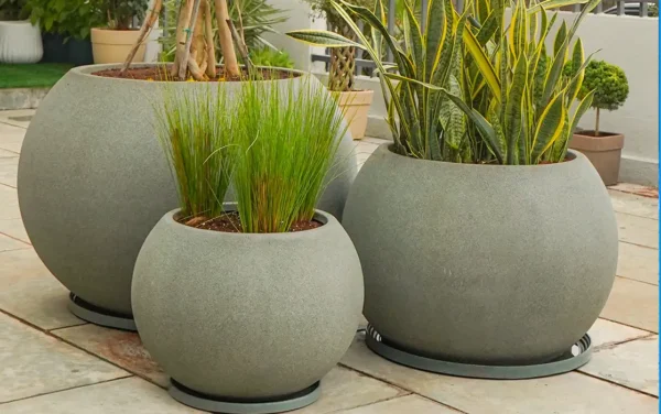globus planters