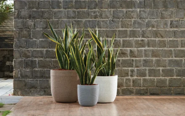 milano short planter milano short planter