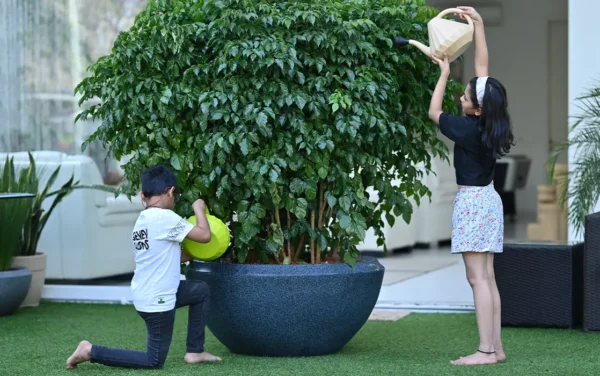 ripples water can ripples water can