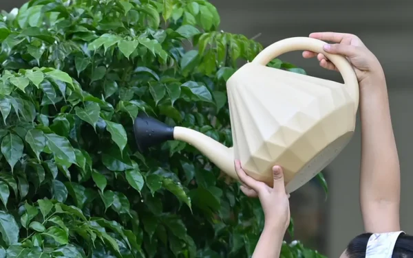 ripples water can ripples water can