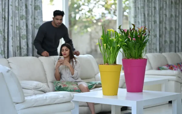 Rome Web P 1 600x376