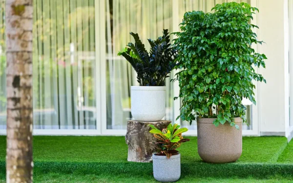 tokyo short planters tokyo short planters