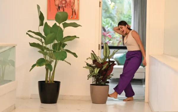 valencia with wheels planters valencia with wheels planters